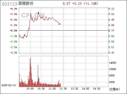 翠微股份，探索603123背后的故事，翠微股份，揭秘603123背后的故事