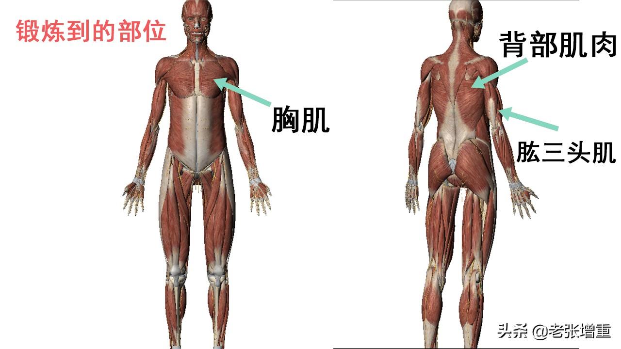 適合家庭健身的器材，打造舒適的家庭健身環(huán)境，家庭健身必備器材，打造舒適居家鍛煉環(huán)境