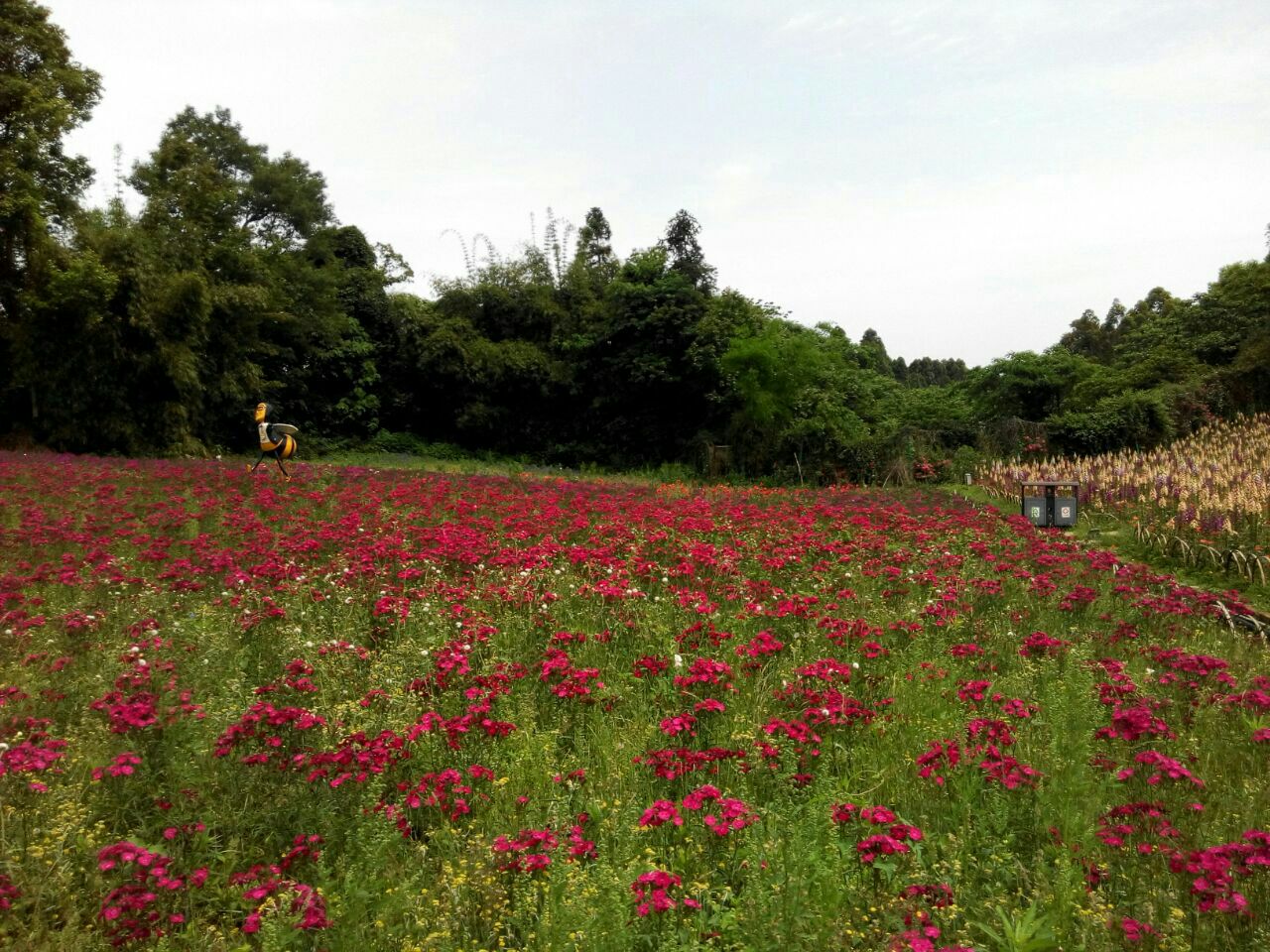 石象湖附近景點探秘